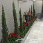تنسبق حدائق حديثه