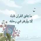قران كريم بالتجويد اونلاين وحضورى