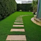 عشب صناعي ثيل ديكورات جميع الاشال