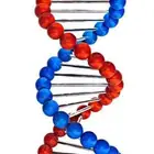 معلم متابعة و تأسيس ماده العلوم ابتدائى متوسط والأحياء ثانوى