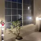 باب ألمنيوم باب حديد مظلات
