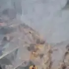 شيف السوري ابو تامررر في الدمام والشرقيه وما حولها