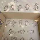 شبك لصيد الصقور