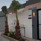تركيب وترتيب العشبه الصناعي والطبيعي