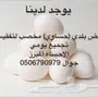 بيض بلدي (حساوي) مخصب للبيع