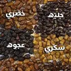 تمور انتاج المدينة المنورة  عضوي