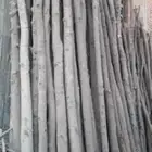 السلام عليكم ورحمه الله وبركاته