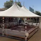 سلام عليكم