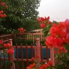 استراحه الرحمانيه العفجه الخرج الرياض الهياثم