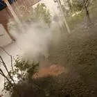 رذاذ وضباب
