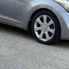 جنوط النترا 2014
