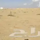 للبيع أرض سكنية في القوارة مقابل مسجد حسب المخطط