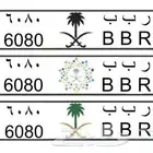 لوحه مميزه للبيع