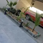 تنسيق حدائق وشلالات ونوافير