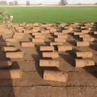 ثيل سي 2000 صافي وطبيعي جرده قولي