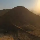 سماد بقري فوق الممتاز وسماد دواجن بياض