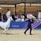 تصوير اعلانات يوم التاسيس