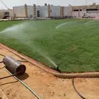 تيل طبيعي وزراعة الأشجار والزهور