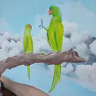 خطاط ورسام هاند ميد