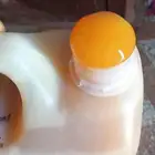 عسل سدر عصيمي ملكي فاخر موسم جديد