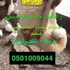 زغاليل حمام فرنسي شحم