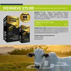 شركة برازيلية للادوية البيطرية تبحث عن موزعين بدول الخليج