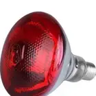 لمبة حراريه لتدفئة الصوص