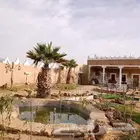 تراث القديم نجدي الشعبي