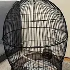 قفص شبك كبير دائري او بيضاوي