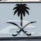 لوحة مميزة ص ن ه 77
