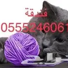 فندقه قطط قطط - طيور طيور - 61 60 24 0555