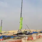 ايجار كرين ورفعات شوكية
