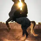 مصور محترف   فوتو فيديو تصوير جوي وأرضي