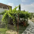 مطلوب مزرعه للإجار لمدة طويله (صبره)في عيون الجواء وثال