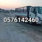 دينا نقل