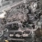 مكاين ازيرا كرنفال سنتافي كادينزا