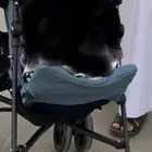 عربية ماماز باباز