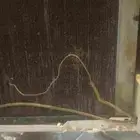 مكيف شباك مقاس 18