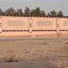 لياسه ملونه بديل الحجر الطبيعي بكل الاشكال والالوان المختلفة