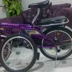 سكيل رامبو عنابي