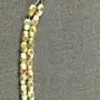 سبحة العاج 