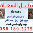 تدريب ركوب الخيل