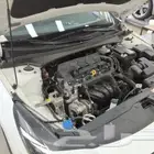 النترا(افانتي) وارد كوريا