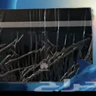 راوتر هواوي مفتوح موديل b315bs