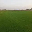 ثيل سئ 2000صافي وطبيعي الموقع الخرج