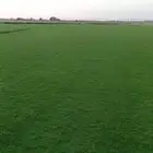 ثيل سئ 2000صافي وطبيعي الموقع الخرج