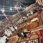 تاجير خيام تاجير بيوت شعر تاجير دفايات كل لاوزم الحفلات