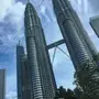 شيف يرغب في العمل. 