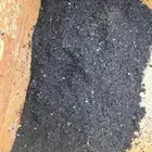 نحل عسيب او سرف نحل للبيع (خلايا النحل )