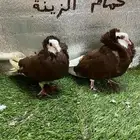 حمام بلجيكي